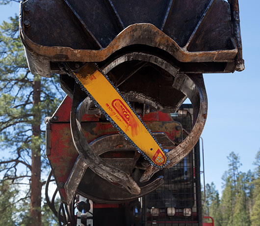 Logging equipment Stroke Delimber in Apache National Forest Arizona  