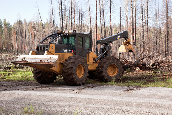 Skidder working in Apache Forest Arizona   