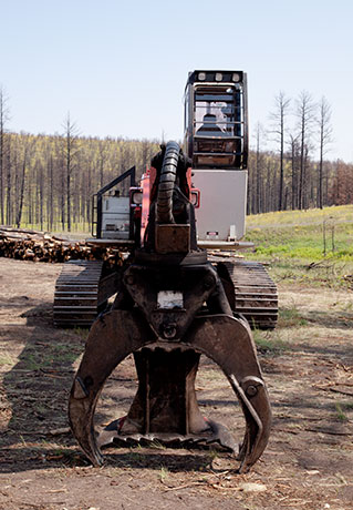 Log Loader Link Belt 2800 Arizona   