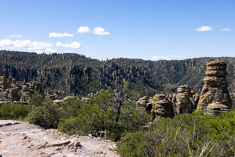 View from Echo Canyon Trail