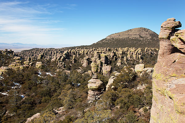 Rhyolite Canyon from Massai Point, Chiricahua National Monument, Arizona 