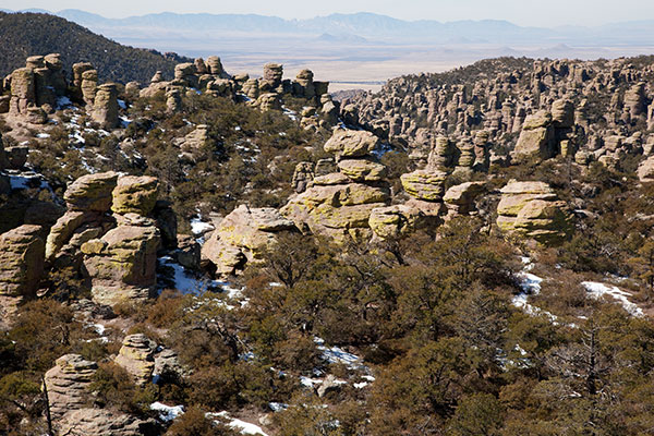 Rhyolite Canyon from Massai Point, Chiricahua National Monument, Arizona 