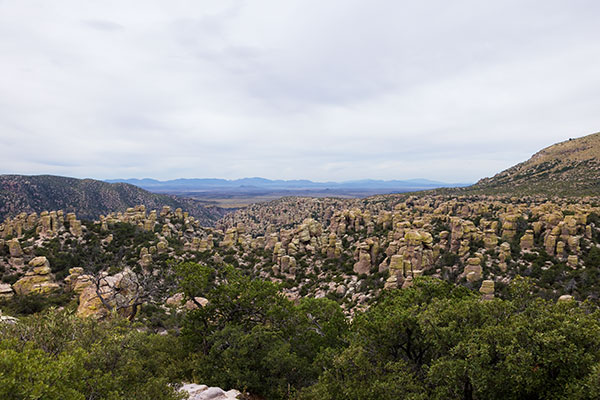 Rhyolite Canyon from Massai Point, Chiricahua National Monument, Arizona 