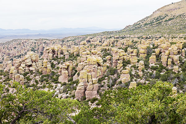 Scene from Massai Point, Chiricahua National Monument, Arizona 