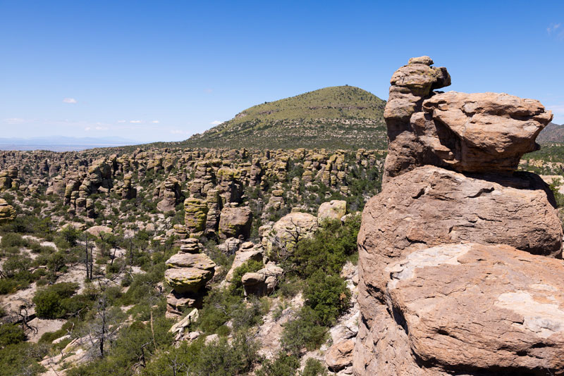 Rhyolite Canyon from Massai Point, Chiricahua National Monument, Arizona 