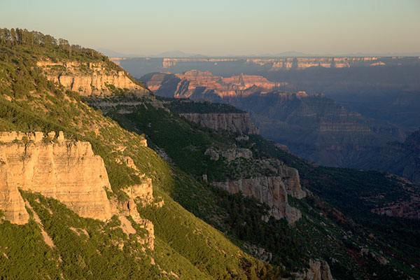 Swamp Point, North Rim, Grand Canyon National Park, Arizona 