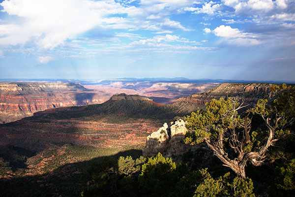 Crazy Jug Point, North Rim, Grand Canyon National Park, Arizona 