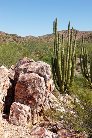 Golden Bell Mine, Organ Pipe Cactus National Monument, Arizona