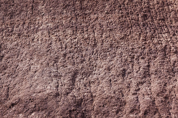 Weathered Clay Texture, Petrified Forest National Park, Arizona