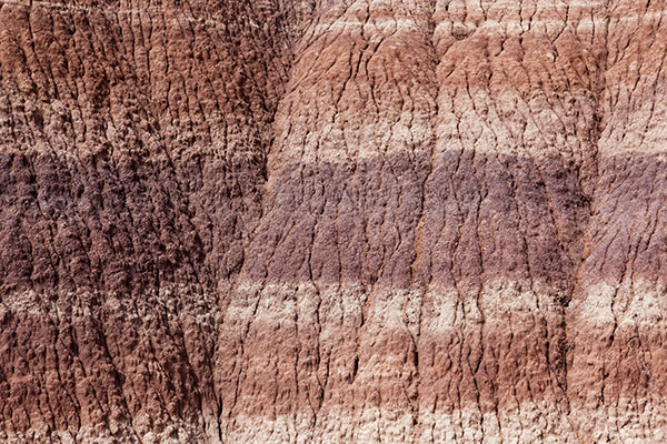 Weathered Clay Texture, Petrified Forest National Park, Arizona