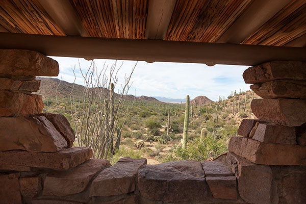 Saguaro National Park