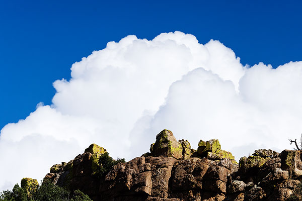 Lichen covered rocks in Rucker Canyon, Chiricahua Mountains, Arizona