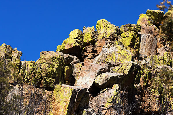 Lichen covered rocks in Rucker Canyon, Chiricahua Mountains, Arizona