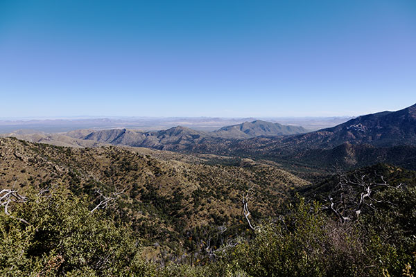 Scene along Trans-mountain Road, Chiricahua Mountains, Arizona