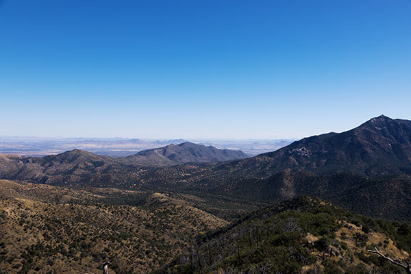 Scene along Trans-mountain Road, Chiricahua Mountains, Arizona