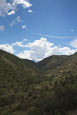 Juan Miller Road and Juan Miller Canyon, Apache National Forest, Arizona