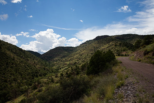 Juan Miller Road and Juan Miller Canyon, Apache National Forest, Arizona