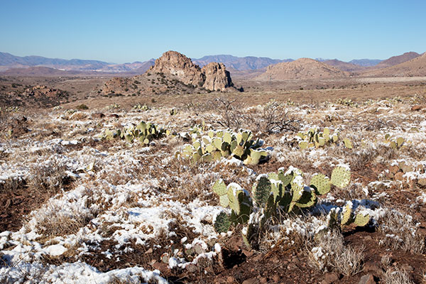 Snow on Prickly Pear, Arizona State Road 78, Arizona