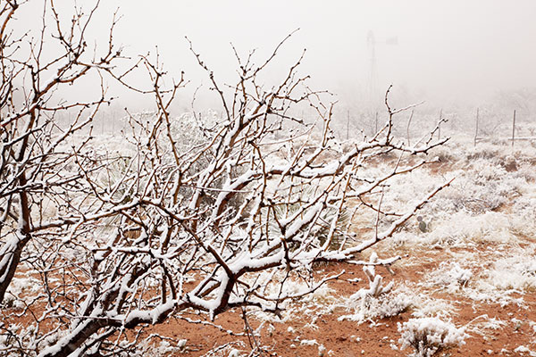 Snow in the Desert, Graham County, Arizona