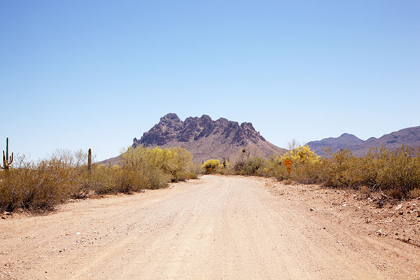 Sonoran Desert in Ironwood Forest National Monument,  Arizona 