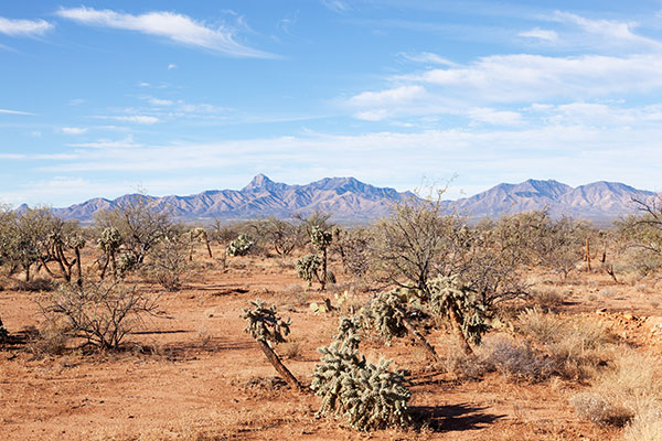 Baboquivari Peak, Pima County,  Arizona 