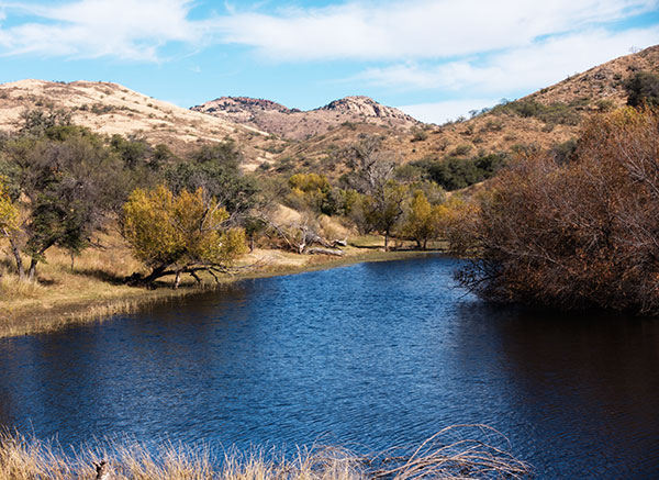 Lake in California Gulch (Ruby Lakes), Santa Cruz County,  Arizona 
