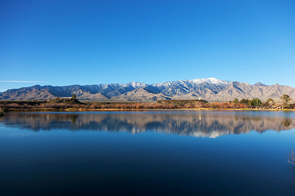 Dankworth Pond, Roper Lake State Park  Arizona 