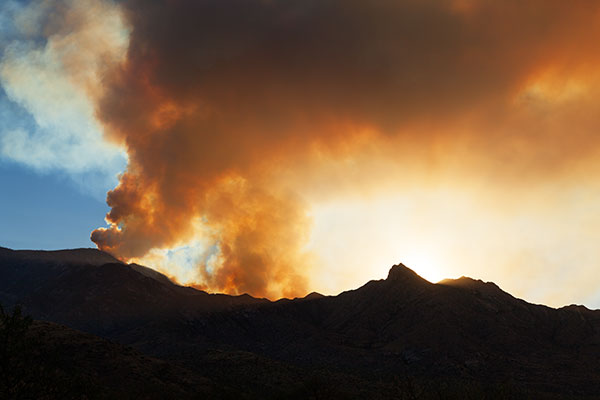  Smoke from Frye Fire south of Safford backlit with evening sun,  Arizona