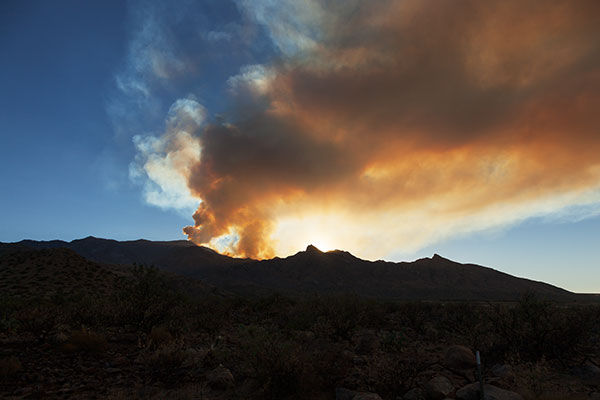  Smoke from Frye Fire south of Safford backlit with evening sun,  Arizona