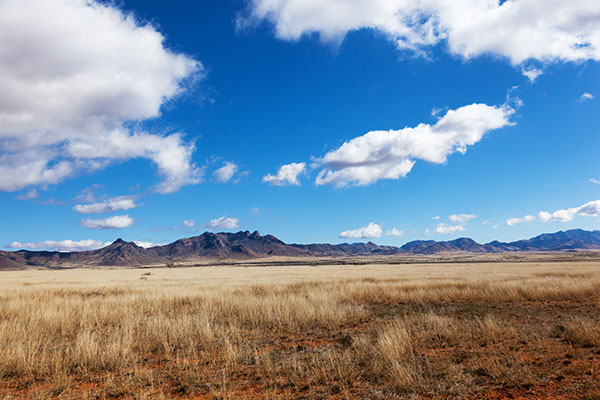 Grasslands along State Road 186 in southeastern Arizona