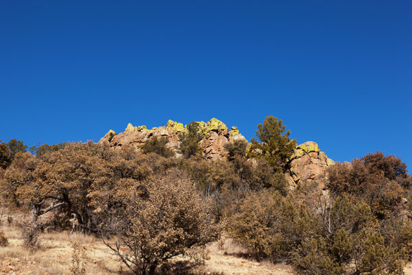 Rock outcrop in Rucker Canyon, Chiricahua Mountains, Arizona