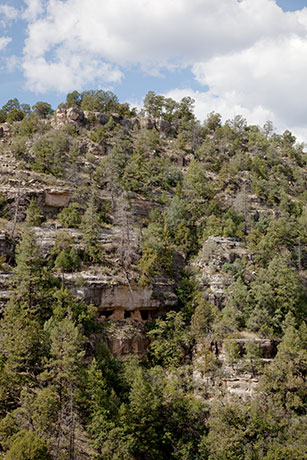 Cliff Dwelling Ruins northwest of Island, Walnut Canyon National Monument, Arizona