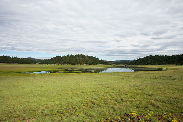 Sierra Blanca Lake, Apache National Forest, Arizona
