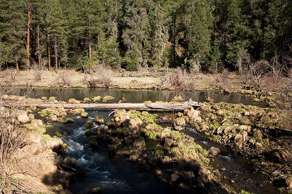East Fork of Black River, Apache National Forest, Arizona