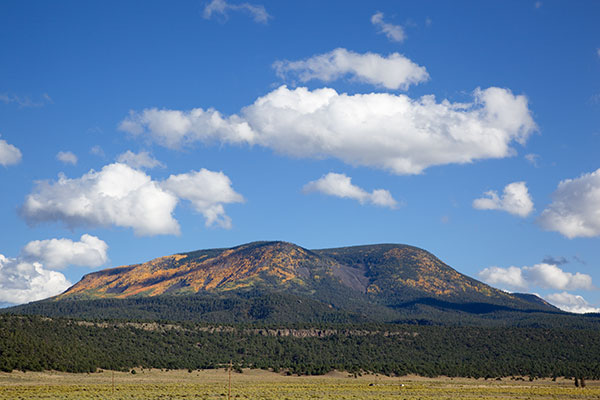Fall Colors on Escudilla Mountain, Apache National Forest, Arizona