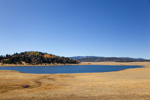 Fall Colors at Crescent Lake, Apache National Forest, Arizona