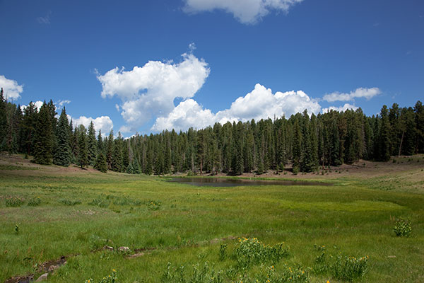 Aker Lake, Apache National Forest, Arizona
