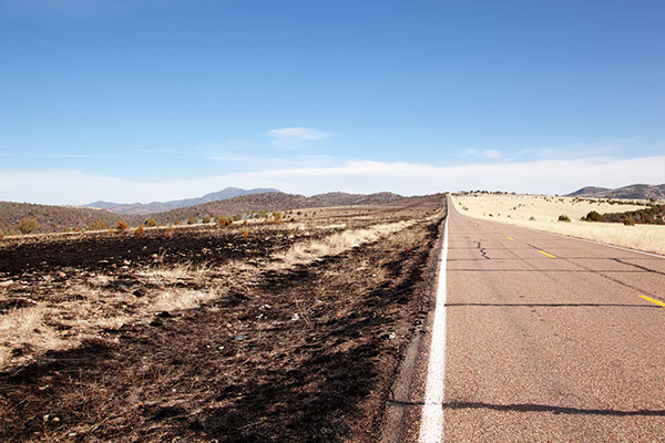 Controlled Burn along US Highway 191, Apache National Forest, Arizona