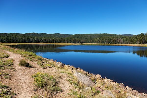Lee Valley Reservoir, Apache National Forest, Arizona