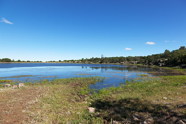 Pratt Lake, Apache National Forest, Arizona