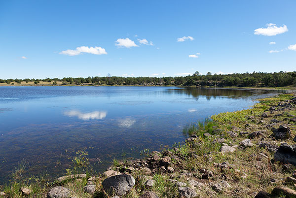 Pratt Lake, Apache National Forest, Arizona