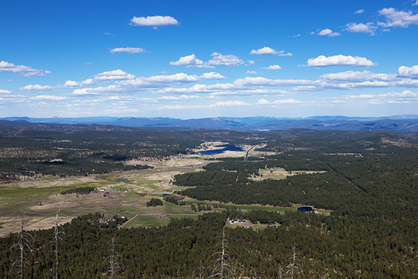 Alpine Valley and Luna Lake, Apache National Forest, Arizona