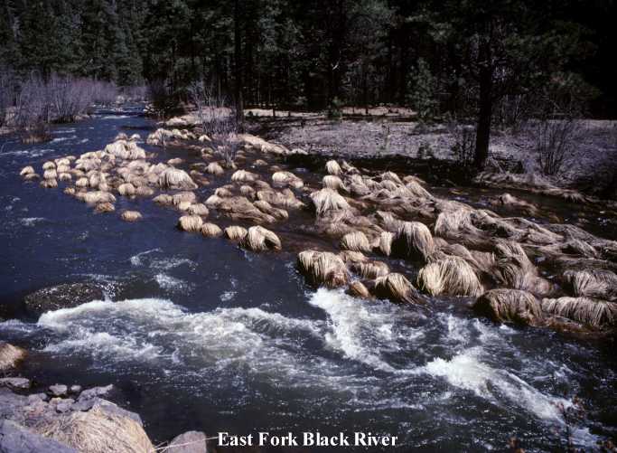 Photograph of East Fork of Black River, Arizona