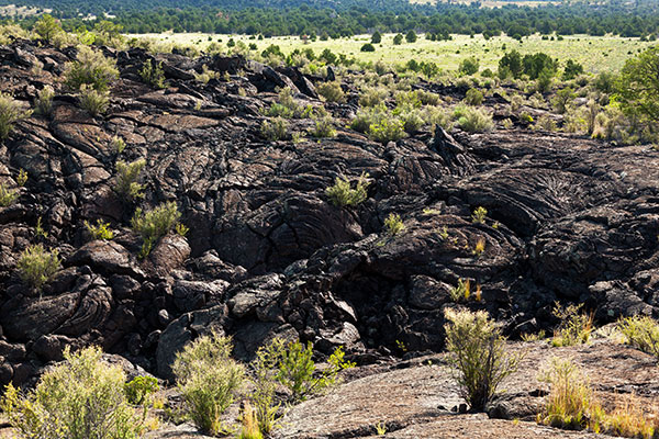 Scenes along Lava Falls Trail, El Malpais National Monument