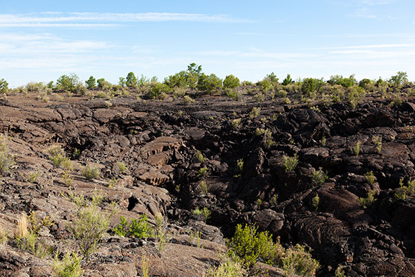 Scenes along Lava Falls Trail, El Malpais National Monument