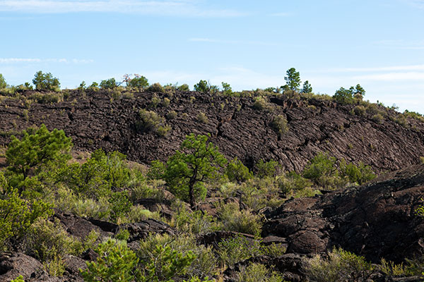 Scenes along Lava Falls Trail, El Malpais National Monument