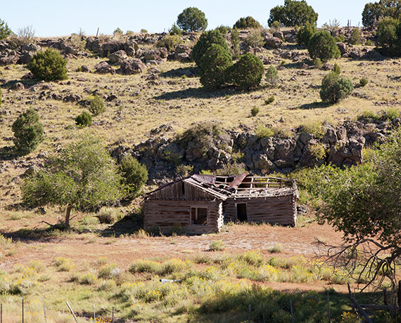 Old Log Building, Catron County, New Mexico