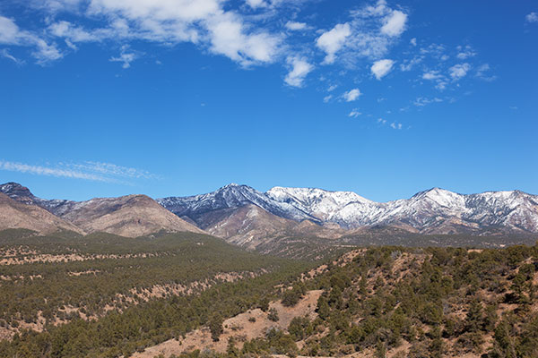 Looking up Little Dry Creek toward West Baldy and Sacaton Mountain, Gila National Forest, New Mexico