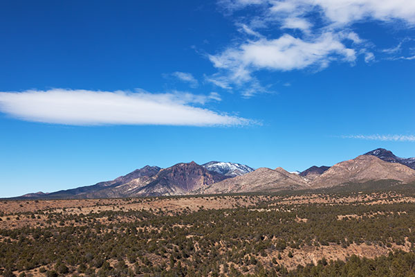 Looking across Little Dry Creek toward Sheridan and Holt Mountains, Gila National Forest, New Mexico