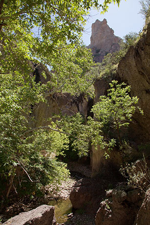 Catwalk and Whitewater Creek, near Glenwood, New Mexico
